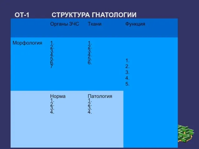 ОТ-1 СТРУКТУРА ГНАТОЛОГИИ