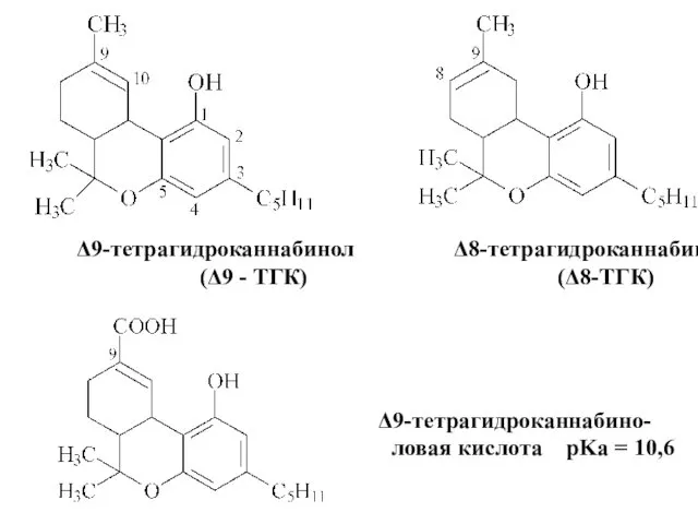 Δ9-тетрагидроканнабинол Δ8-тетрагидроканнабинол (Δ9 - ТГК) (Δ8-ТГК) Δ9-тетрагидроканнабино- ловая кислота pKa = 10,6