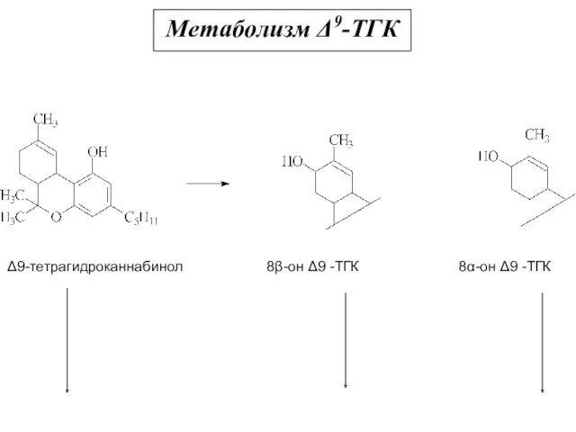 Метаболизм Δ9-ТГК Δ9-тетрагидроканнабинол 8β-он Δ9 -ТГК 8α-он Δ9 -ТГК