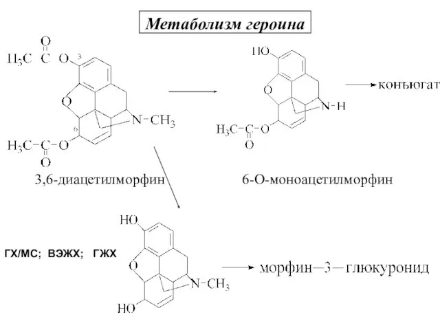 Метаболизм героина 3,6-диацетилморфин 6-О-моноацетилморфин ГХ/МС; ВЭЖХ; ГЖХ морфин Метаболизм героина