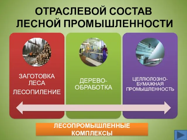 ОТРАСЛЕВОЙ СОСТАВ ЛЕСНОЙ ПРОМЫШЛЕННОСТИ ЛЕСОПРОМЫШЛЕННЫЕ КОМПЛЕКСЫ