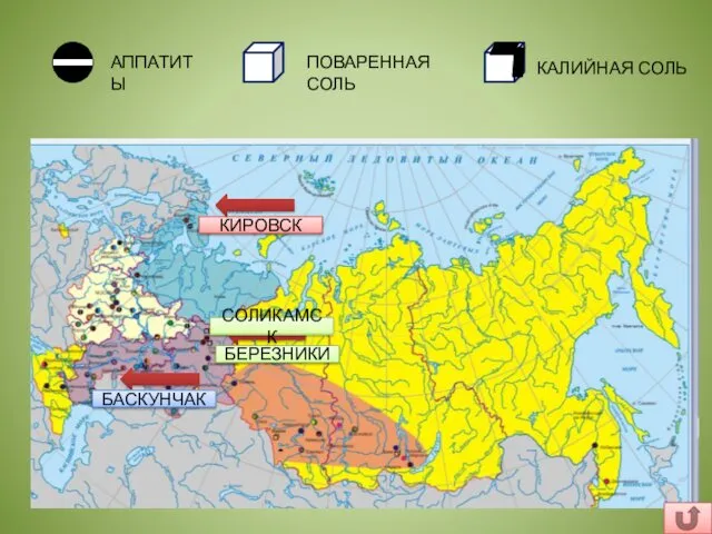 АППАТИТЫ КИРОВСК ПОВАРЕННАЯ СОЛЬ БАСКУНЧАК КАЛИЙНАЯ СОЛЬ СОЛИКАМСК БЕРЕЗНИКИ