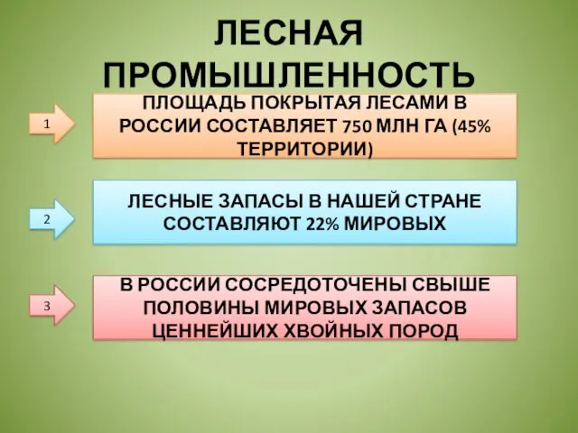 ЛЕСНАЯ ПРОМЫШЛЕННОСТЬ 1 ПЛОЩАДЬ ПОКРЫТАЯ ЛЕСАМИ В РОССИИ СОСТАВЛЯЕТ 750 МЛН ГА (45%