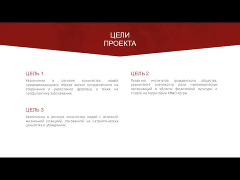 ЦЕЛИ ПРОЕКТА ЦЕЛЬ 1 ЦЕЛЬ 2 ЦЕЛЬ 3 Развитие институтов гражданского общества, увеличение