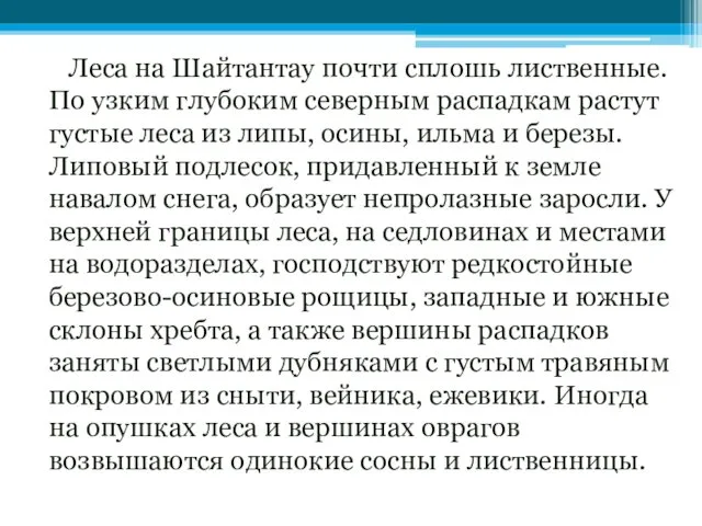 Леса на Шайтантау почти сплошь лиственные. По узким глубоким северным