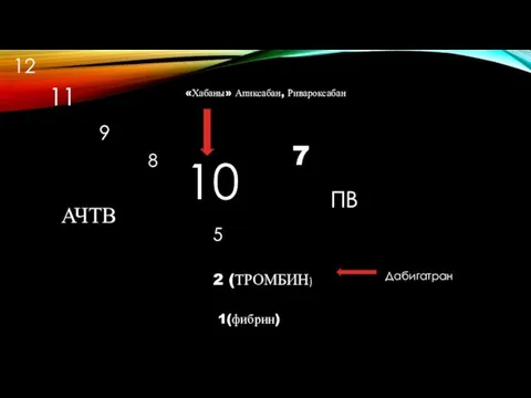 10 12 11 9 8 7 5 2 (ТРОМБИН) 1(фибрин) АЧТВ ПВ «Хабаны» Апиксабан, Ривароксабан Дабигатран