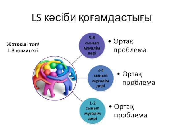 LS кәсіби қоғамдастығы Жетекші топ/ LS комитеті