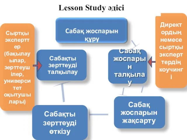 Директордың немесе сыртқы эксперттердің коучингі Сыртқы эксперттер (бақылауылар, зерттеушілер, университет