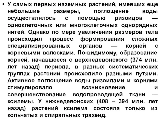 У самых первых наземных растений, имевших еще небольшие размеры, поглощение