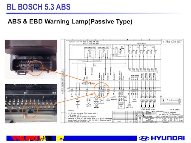 ABS & EBD Warning Lamp(Passive Type)