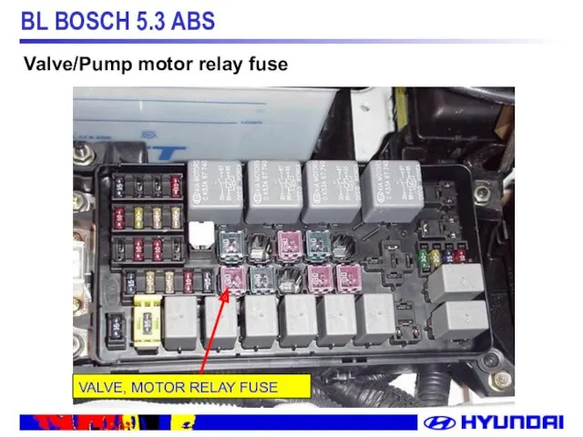 VALVE, MOTOR RELAY FUSE Valve/Pump motor relay fuse