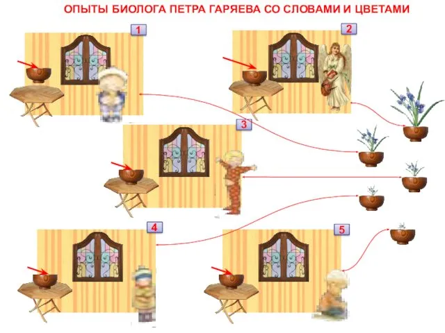 1 5 4 3 2 ОПЫТЫ БИОЛОГА ПЕТРА ГАРЯЕВА СО СЛОВАМИ И ЦВЕТАМИ