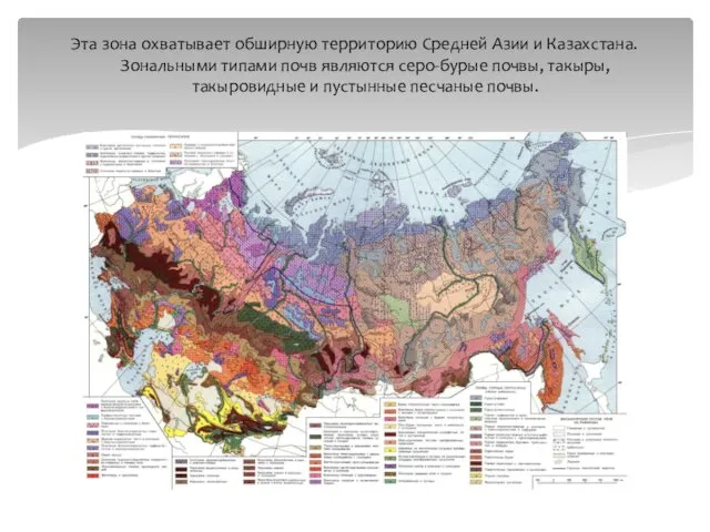 Эта зона охватывает обширную территорию Средней Азии и Казахстана. Зональными типами почв являются