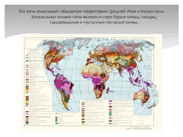 Эта зона охватывает обширную территорию Средней Азии и Казахстана. Зональными типами почв являются