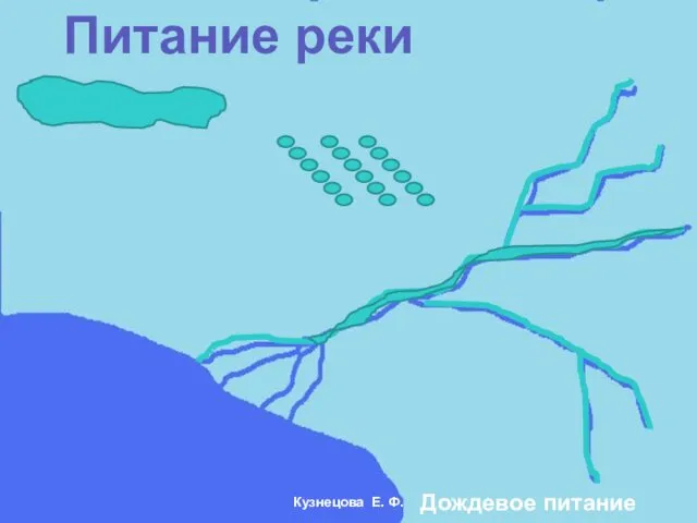 Питание реки Дождевое питание Кузнецова Е. Ф.