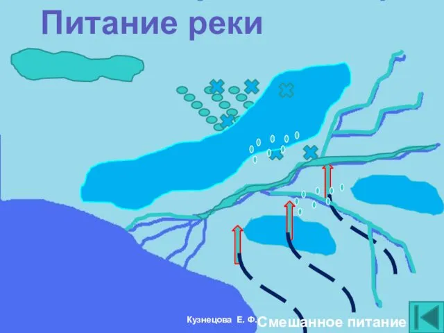 Питание реки Смешанное питание Кузнецова Е. Ф.