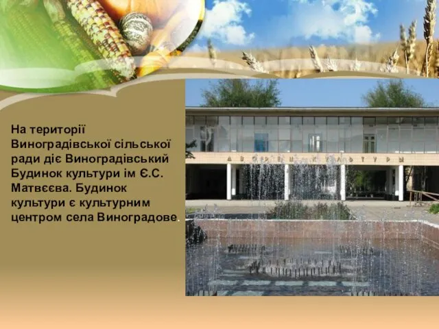 На території Виноградівської сільської ради діє Виноградівський Будинок культури ім Є.С. Матвєєва. Будинок