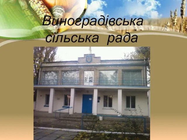 Виноградівська сільська рада