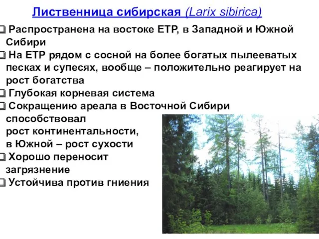 Распространена на востоке ЕТР, в Западной и Южной Сибири На