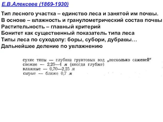 Е.В.Алексеев (1869-1930) Тип лесного участка – единство леса и занятой