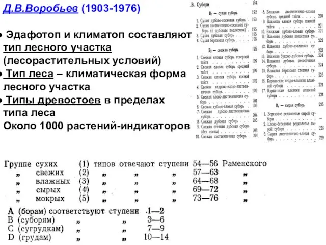 Д.В.Воробьев (1903-1976) Эдафотоп и климатоп составляют тип лесного участка (лесорастительных