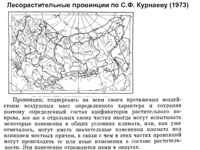 Лесорастительные провинции по С.Ф. Курнаеву (1973)