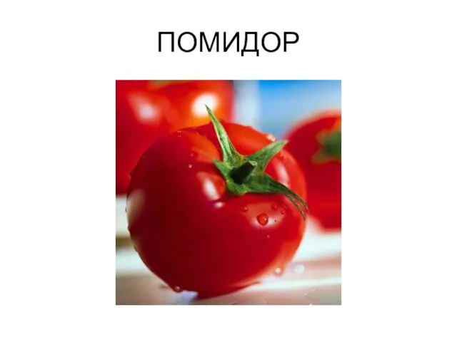 ПОМИДОР