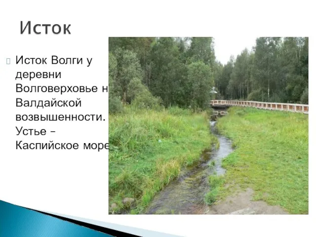 Исток Волги у деревни Волговерховье на Валдайской возвышенности. Устье – Каспийское море.