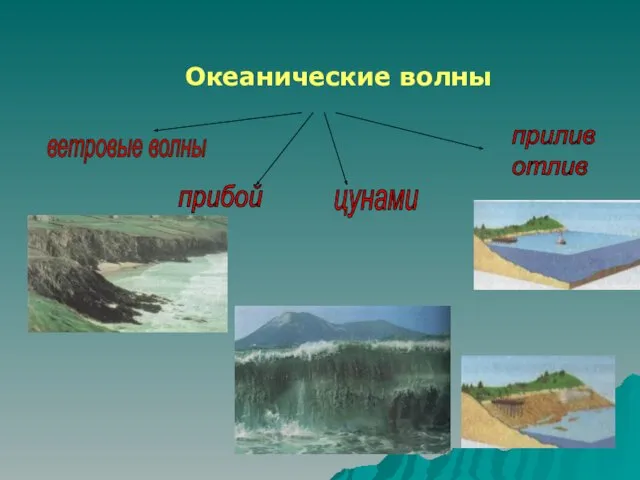 Океанические волны ветровые волны прибой цунами прилив отлив