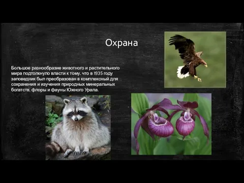 Большое разнообразие животного и растительного мира подтолкнуло власти к тому, что в 1935