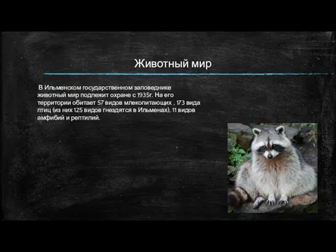 Животный мир В Ильменском государственном заповеднике животный мир подлежит охране