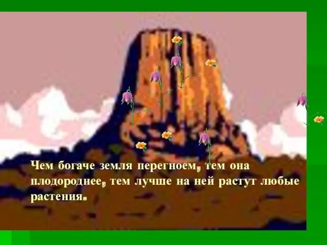 Чем богаче земля перегноем, тем она плодороднее, тем лучше на ней растут любые растения.