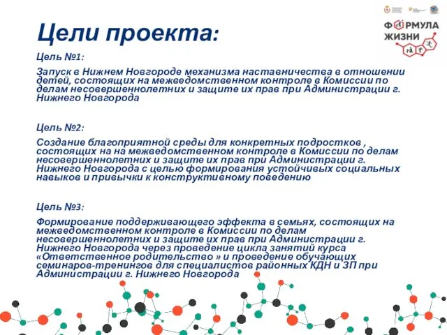 Цели проекта: Цель №1: Запуск в Нижнем Новгороде механизма наставничества в отношении детей,