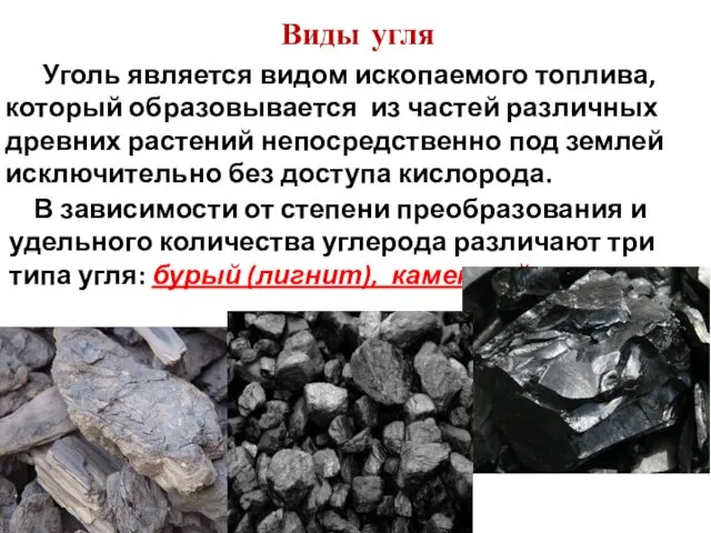 Виды угля Уголь является видом ископаемого топлива, который образовывается из частей различных древних