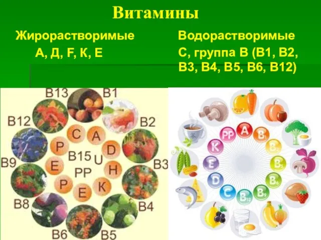 Витамины Жирорастворимые Водорастворимые А, Д, F, К, Е С, группа В (В1, В2,