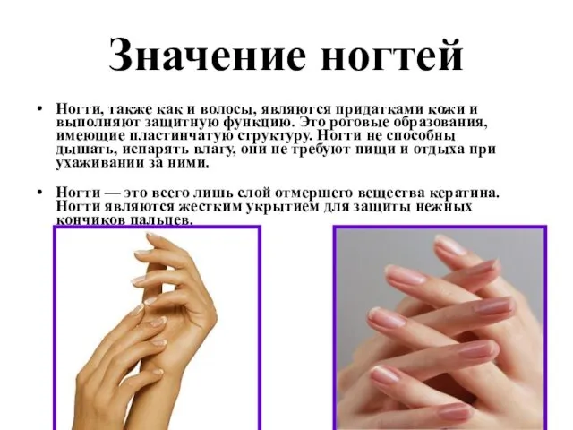 Значение ногтей Ногти, также как и волосы, являются придатками кожи