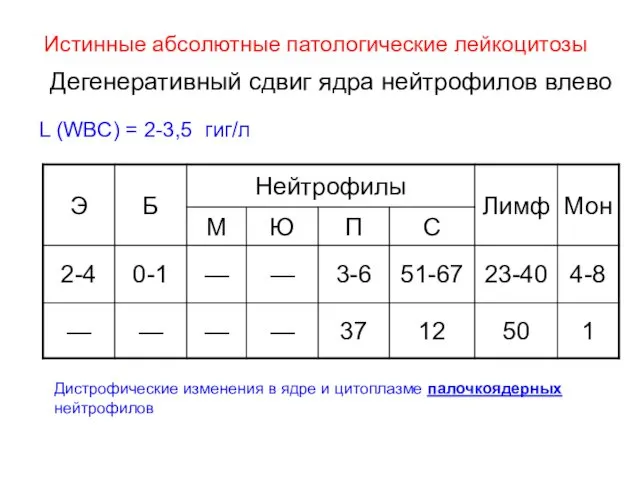 Истинные абсолютные патологические лейкоцитозы Дегенеративный сдвиг ядра нейтрофилов влево L