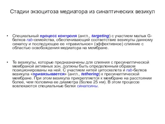 Стадии экзоцитоза медиатора из синаптических везикул Специальный процесс контроля (англ.,