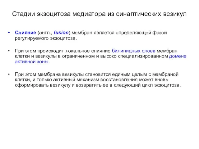 Стадии экзоцитоза медиатора из синаптических везикул Слияние (англ., fusion) мембран