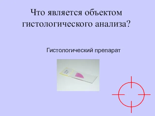 Что является объектом гистологического анализа? Гистологический препарат