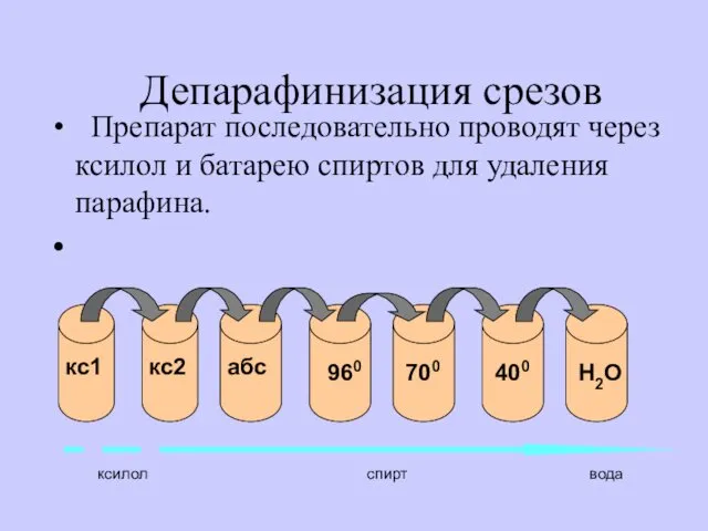 Препарат последовательно проводят через ксилол и батарею спиртов для удаления парафина. Депарафинизация срезов ксилол спирт вода