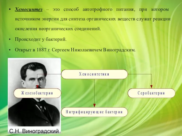 Хемосинтез – это способ автотрофного питания, при котором источником энергии