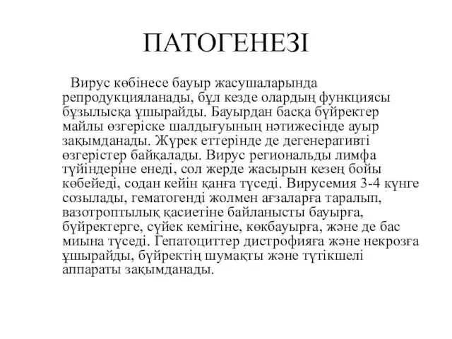 ПАТОГЕНЕЗІ Вирус көбінесе бауыр жасушаларында репродукцияланады, бұл кезде олардың функциясы