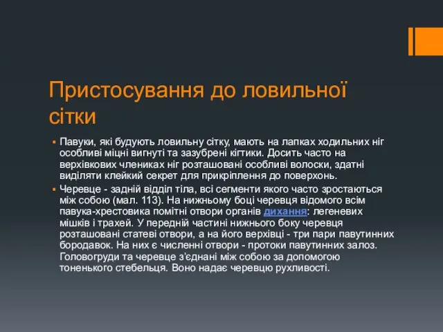 Пристосування до ловильної сітки Павуки, які будують ловильну сітку, мають