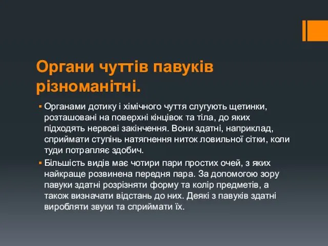 Органи чуттів павуків різноманітні. Органами дотику і хімічного чуття слугують щетинки, розташовані на