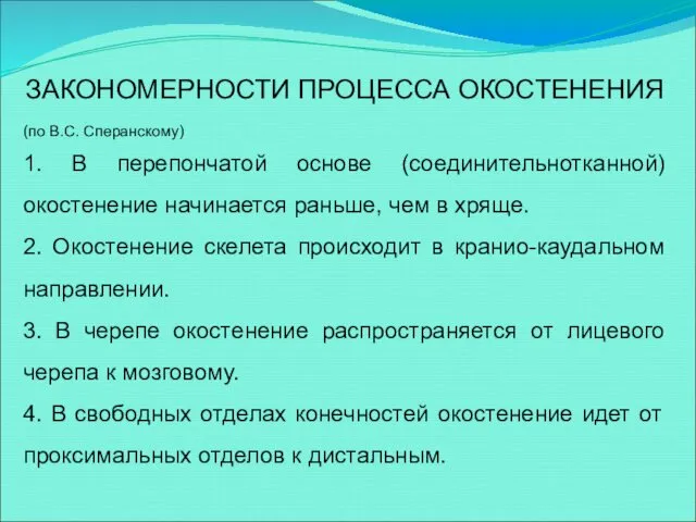 ЗАКОНОМЕРНОСТИ ПРОЦЕССА ОКОСТЕНЕНИЯ (по В.С. Сперанскому) 1. В перепончатой основе