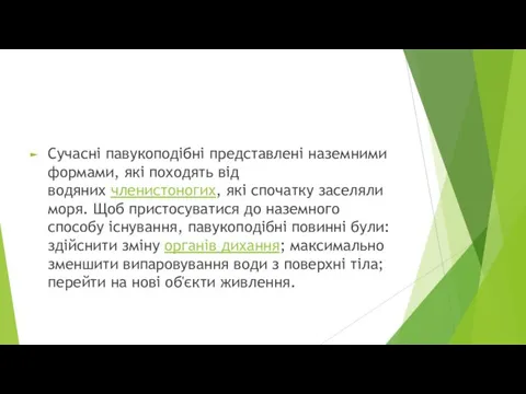 Сучасні павукоподібні представлені наземними формами, які походять від водяних членистоногих,