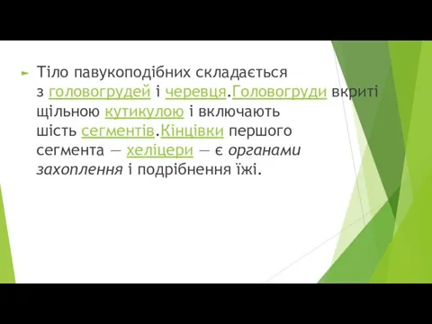 Тіло павукоподібних складається з головогрудей і черевця.Головогруди вкриті щільною кутикулою