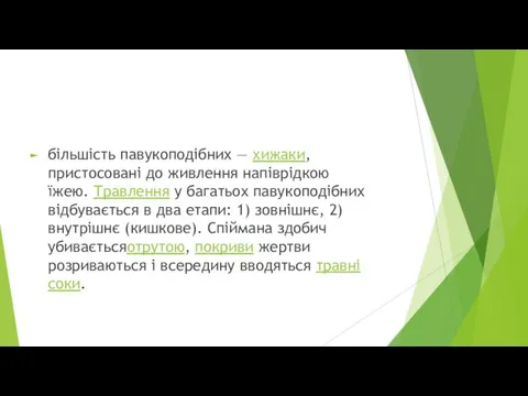 більшість павукоподібних — хижаки, пристосовані до живлення напіврідкою їжею. Травлення