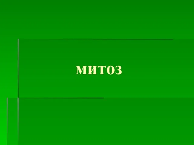 митоз